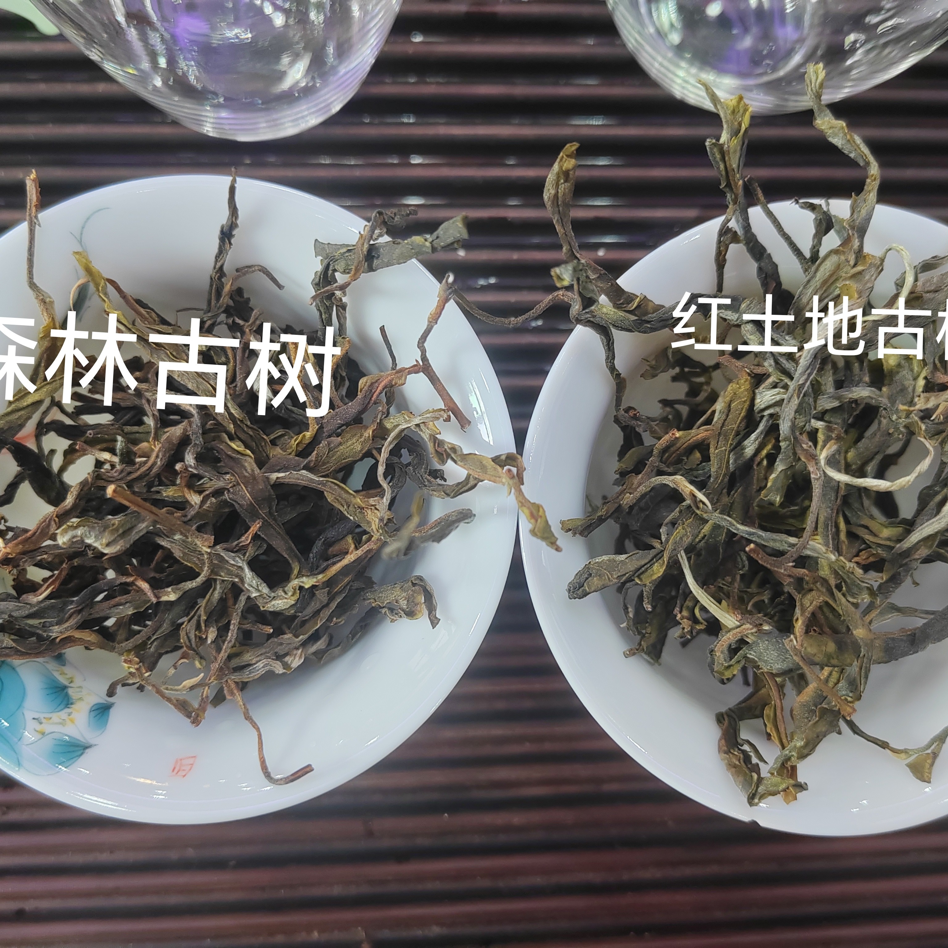 临沧市 勐库 小户赛2025秋森林古树/红土地古树散茶各100克