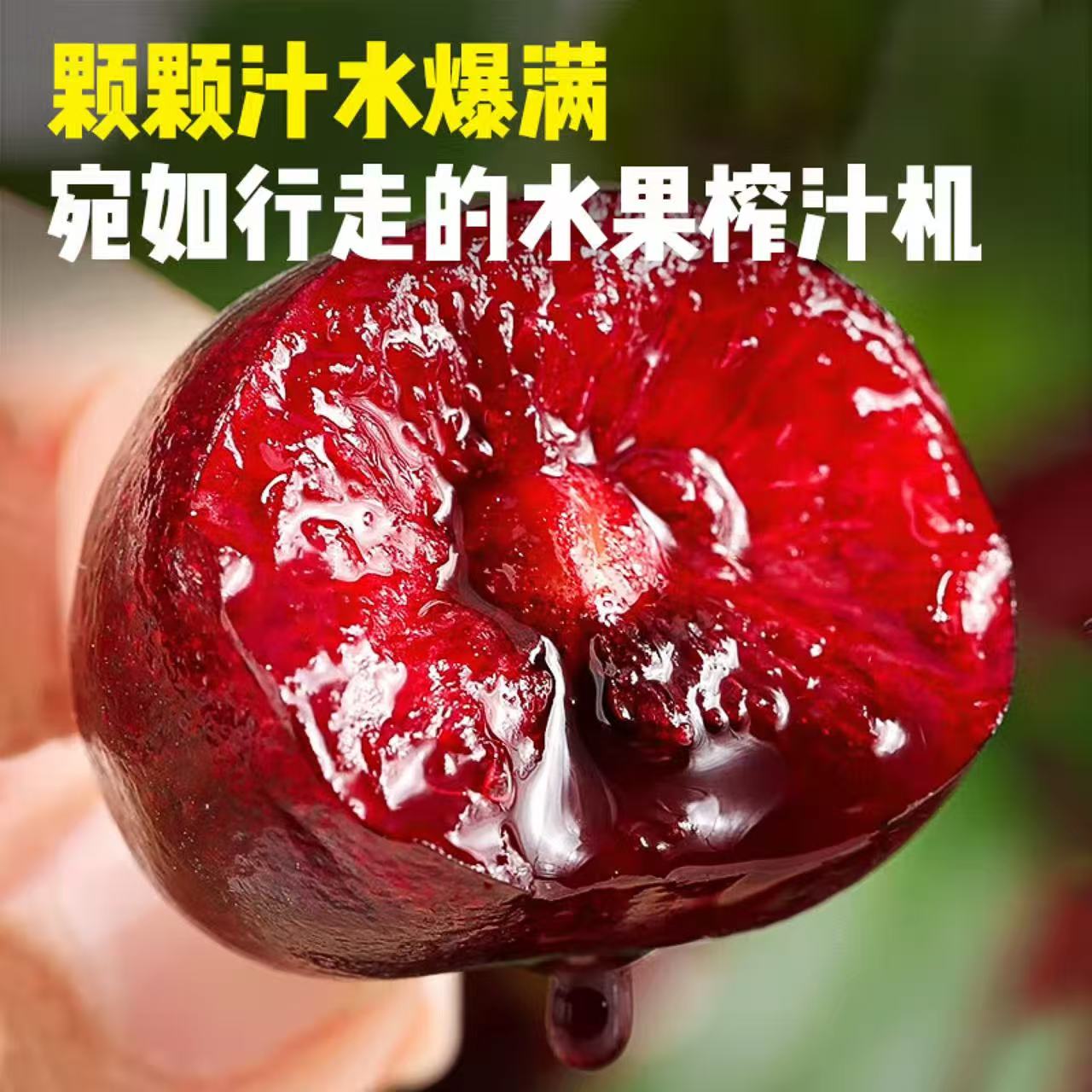 水果码头小U智利海运进口车厘子顺丰/京东2-4J净重5斤内附果径卡