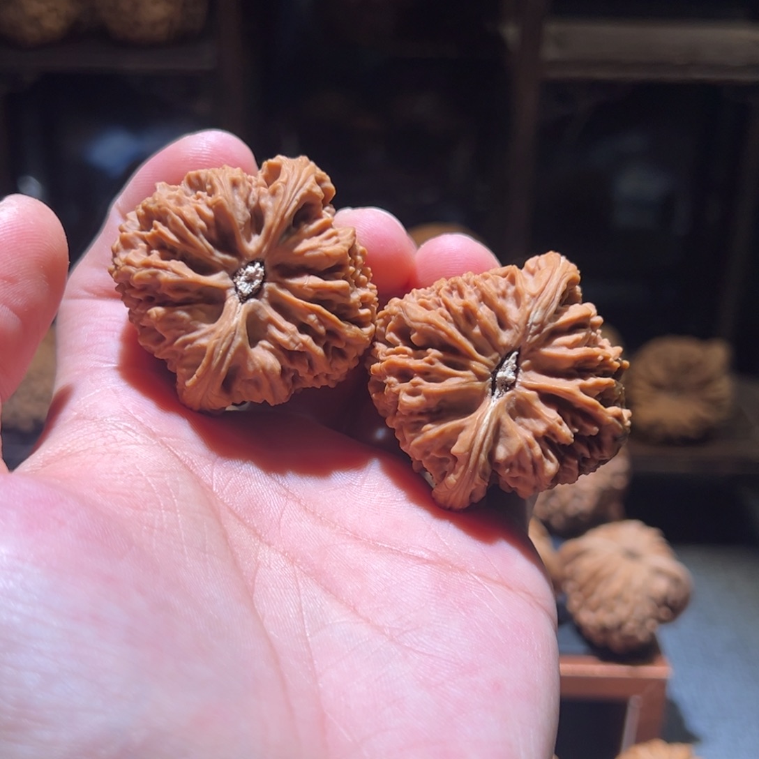 文玩核桃把件从**白44南疆