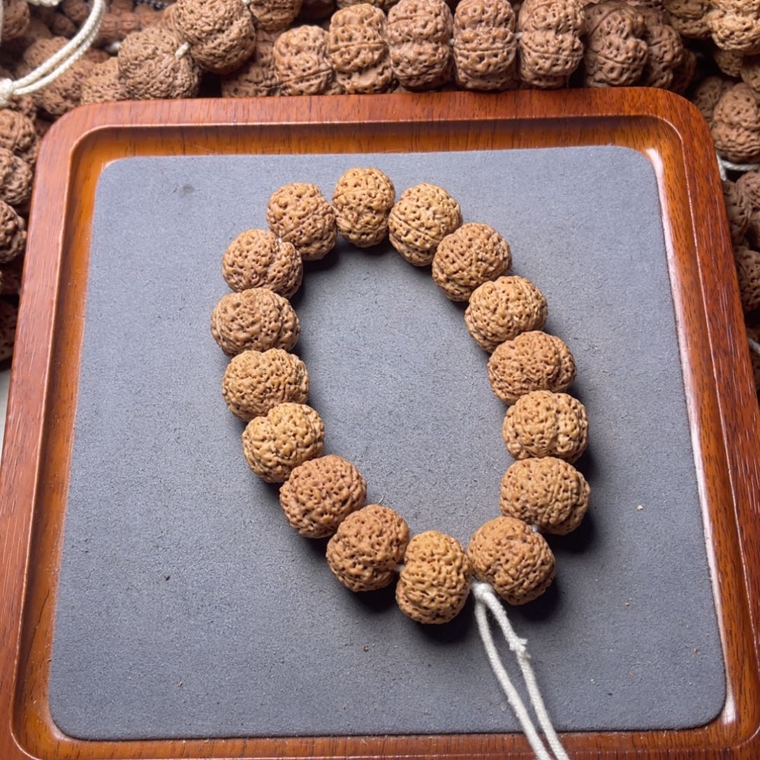 菩提籽类13号金刚菩提蜂王20+