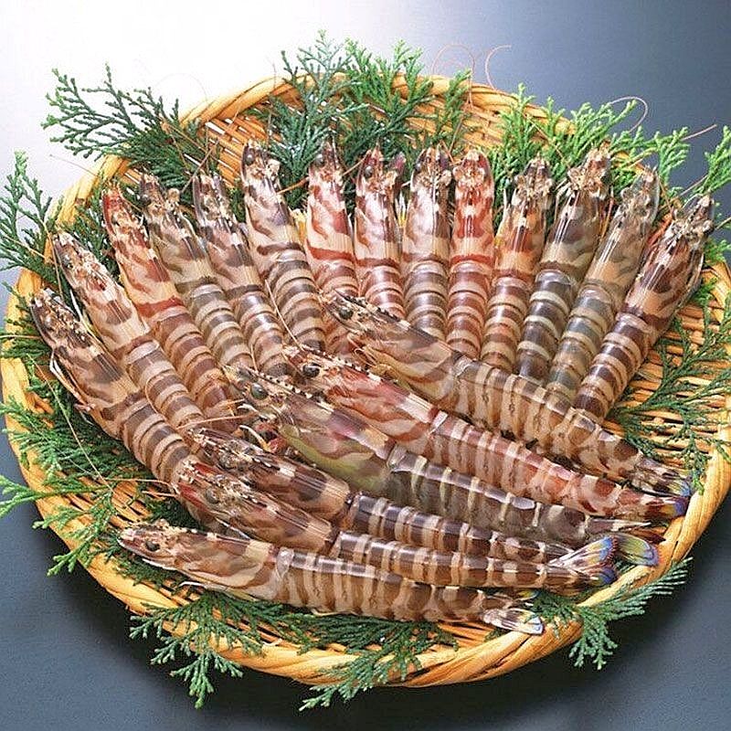 青岛本地斑马虾竹节虾35-40头左右一斤，【保鲜不保活】