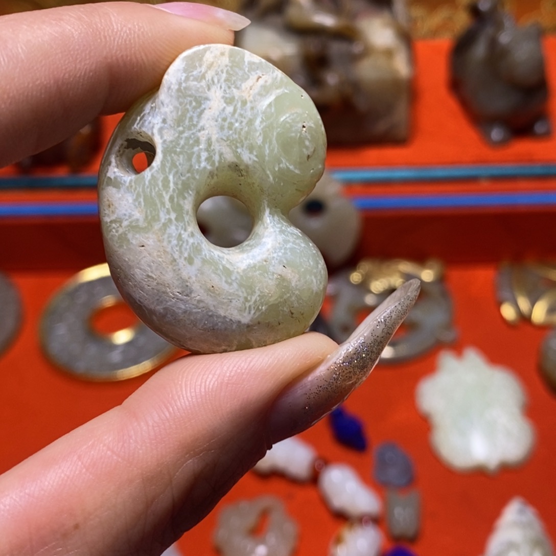 向***。小动物。。。。。。。。。。。。。