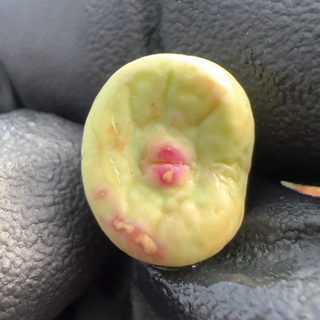 347号大型嘟嘟嘴。    