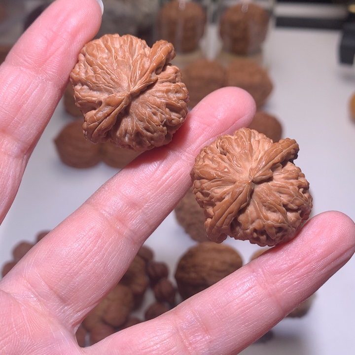 文玩核桃把件白狮子