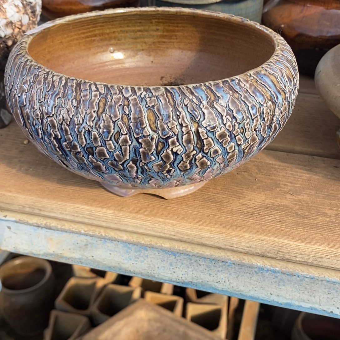 65号多肉盆口径14