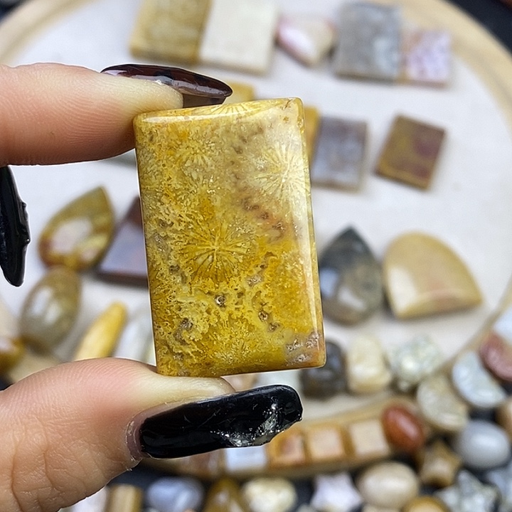 硅化玉未镶嵌颈饰11