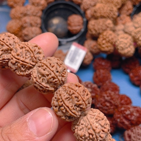 金刚菩提手串Y052/21/6