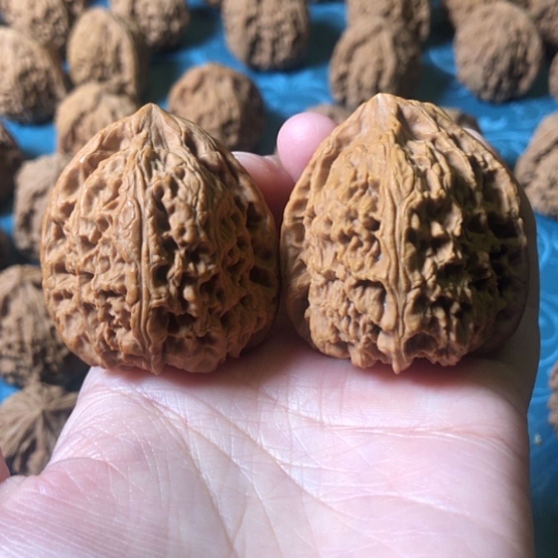 【闪购商品】文玩核桃把件一代将
