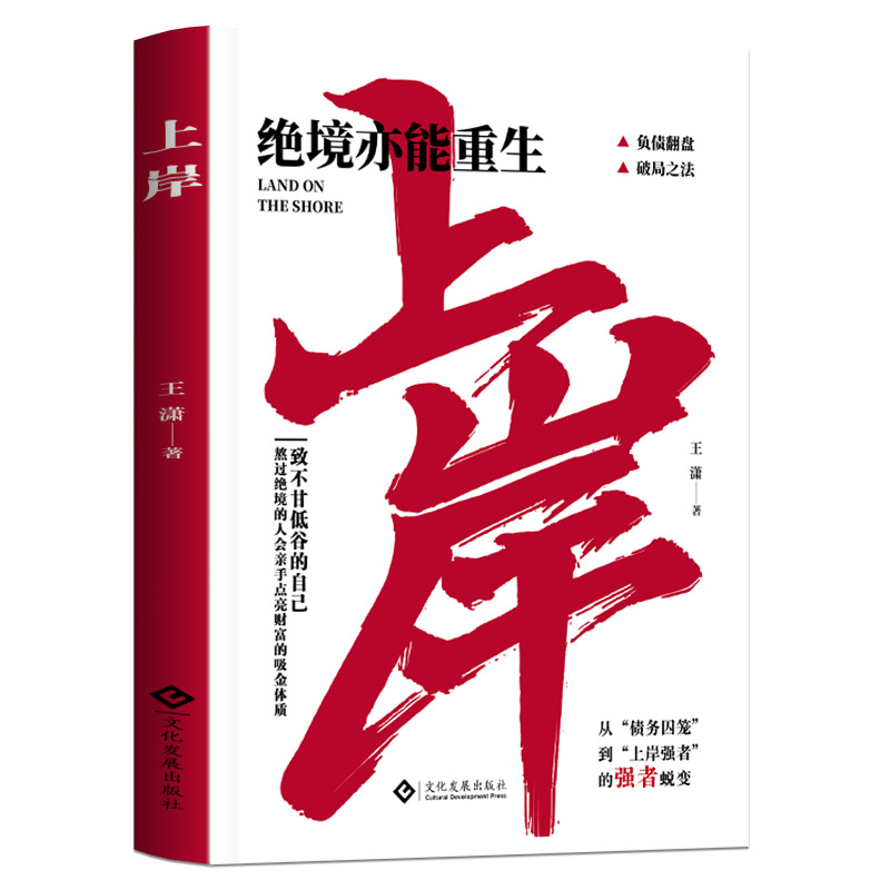 上岸绝境亦能重生负债翻盘破局之法翻身上岸的36条赚钱之道励志书