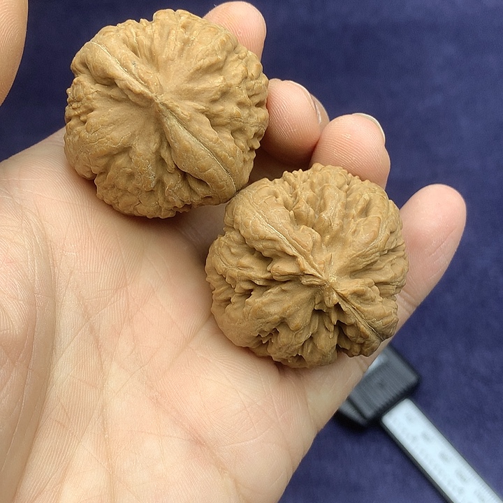 文玩核桃吊坠39 霸王龙