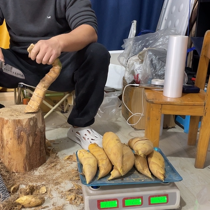 中国大陆阿木哥现挖冬笋4斤装