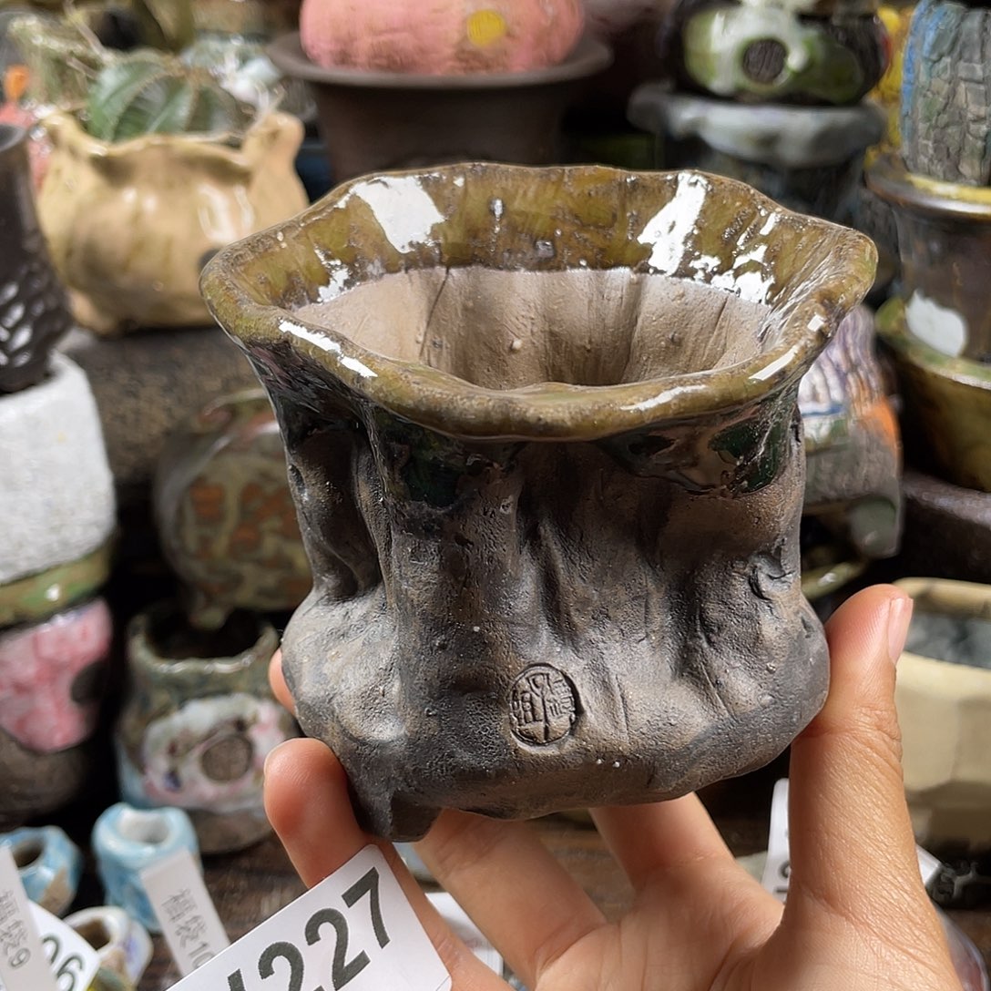 默认微次  限时福利 坛子姐花盆