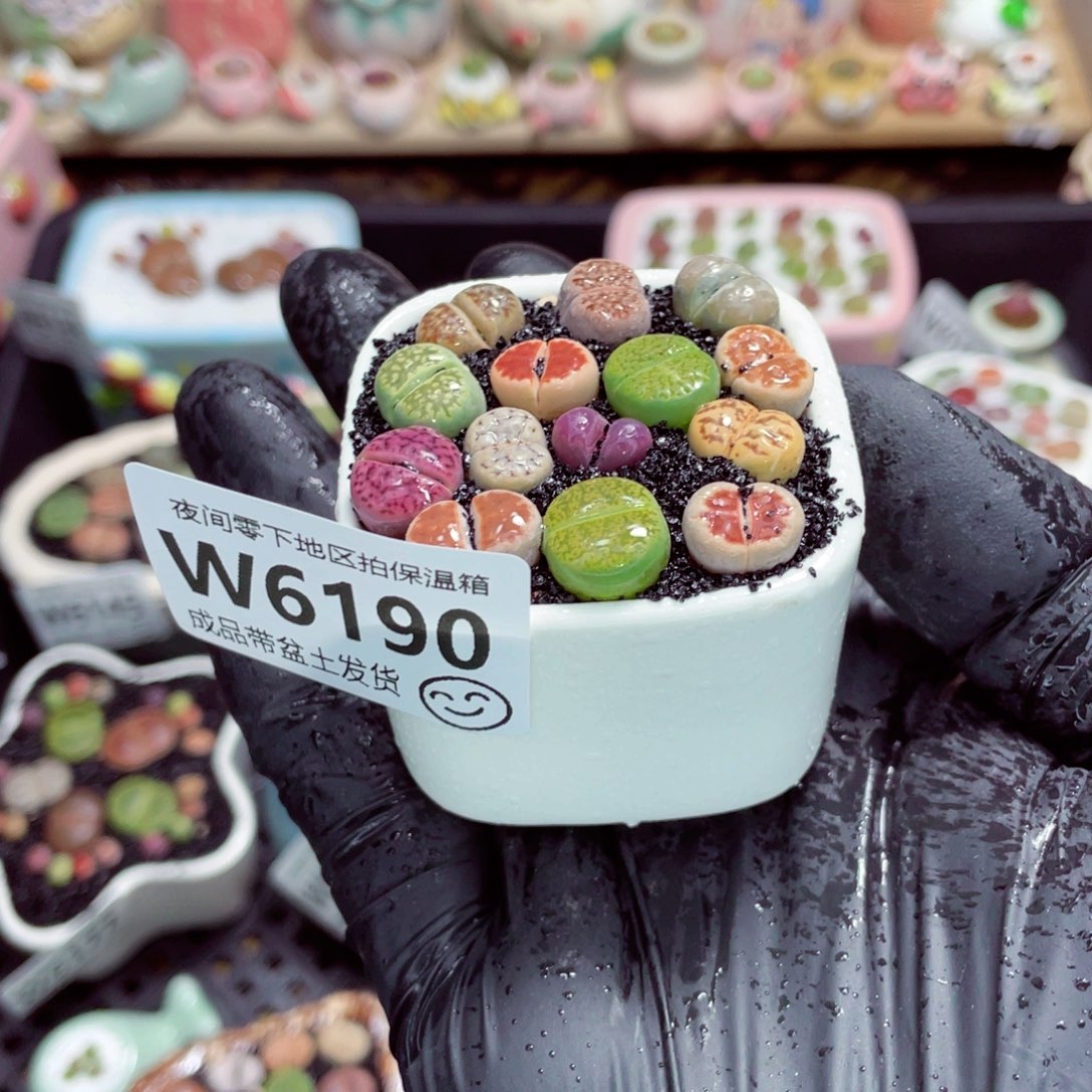 夜间零下地区拍保温箱w6190