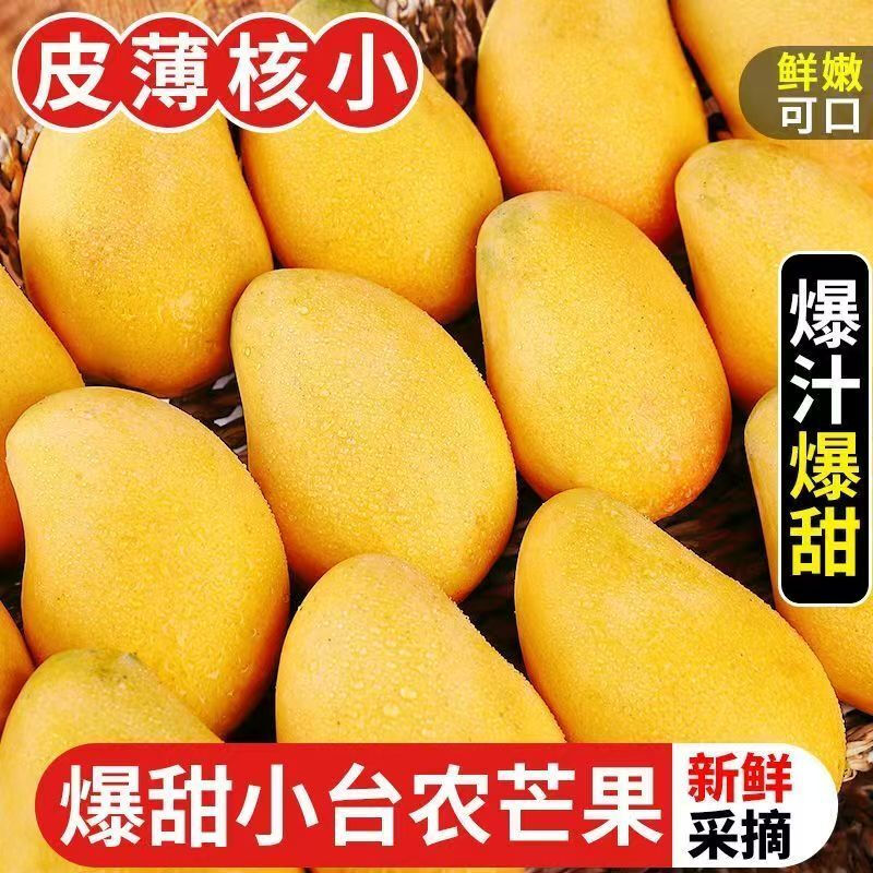 正宗云南芒果小台芒新鲜应季热带水果整箱发货树上自然熟香甜多汁