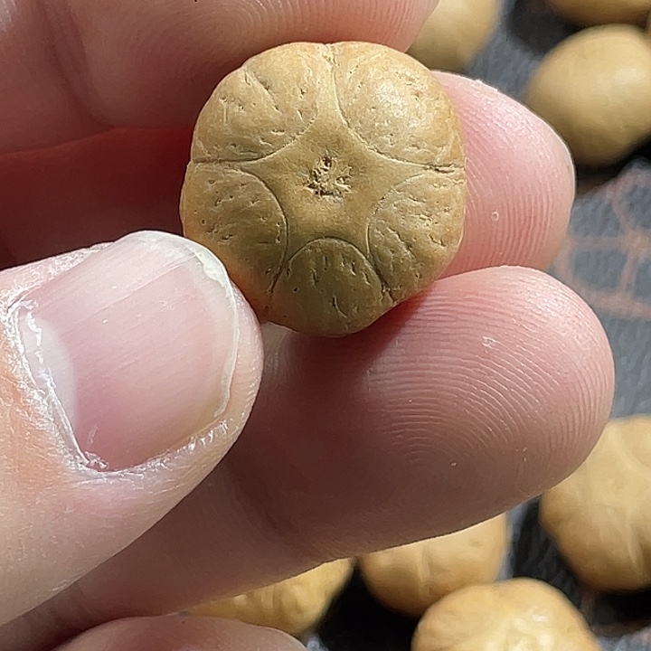 老***子凤眼菩提吊坠尼泊尔小