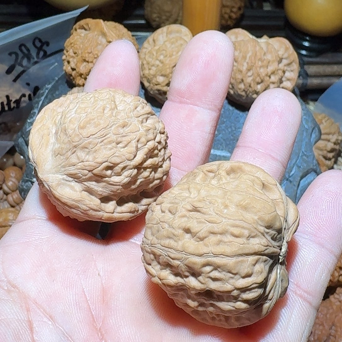 黃****核桃平底锅平谷11111