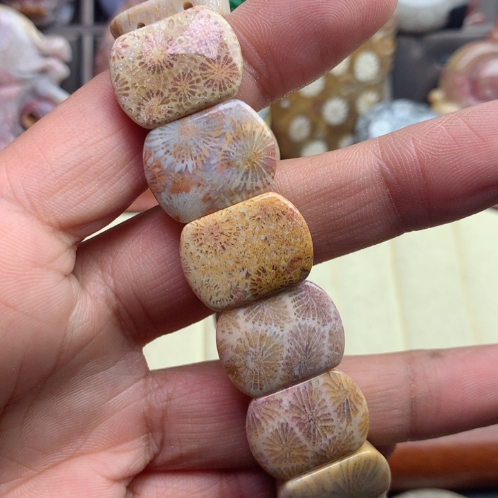 硅化珊瑚（珊瑚玉）颈饰未镶嵌