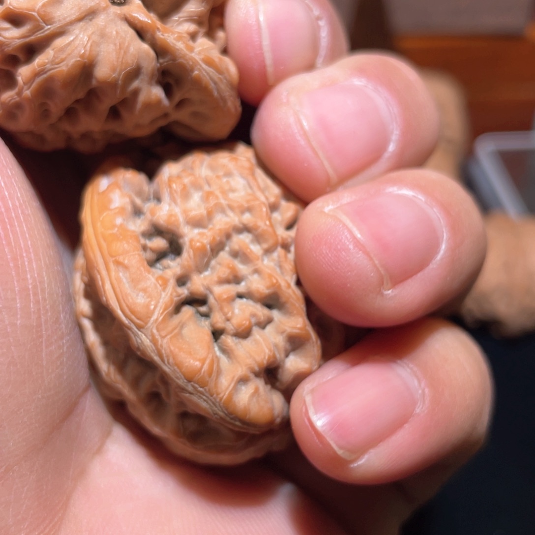 文玩核桃把件天*健京公子