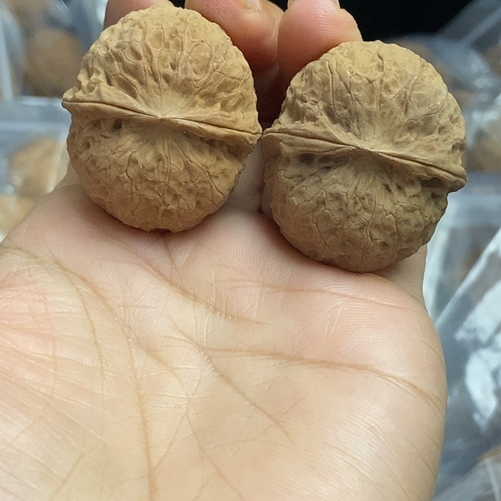 文玩核桃把件云南铁核桃基地29