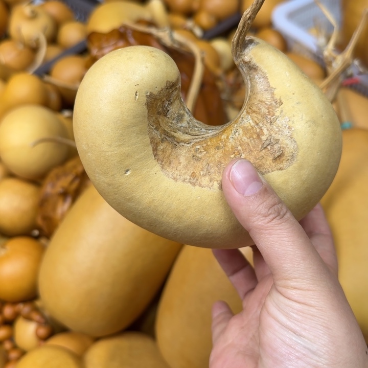 上****竹类腰子瑕疵葫芦