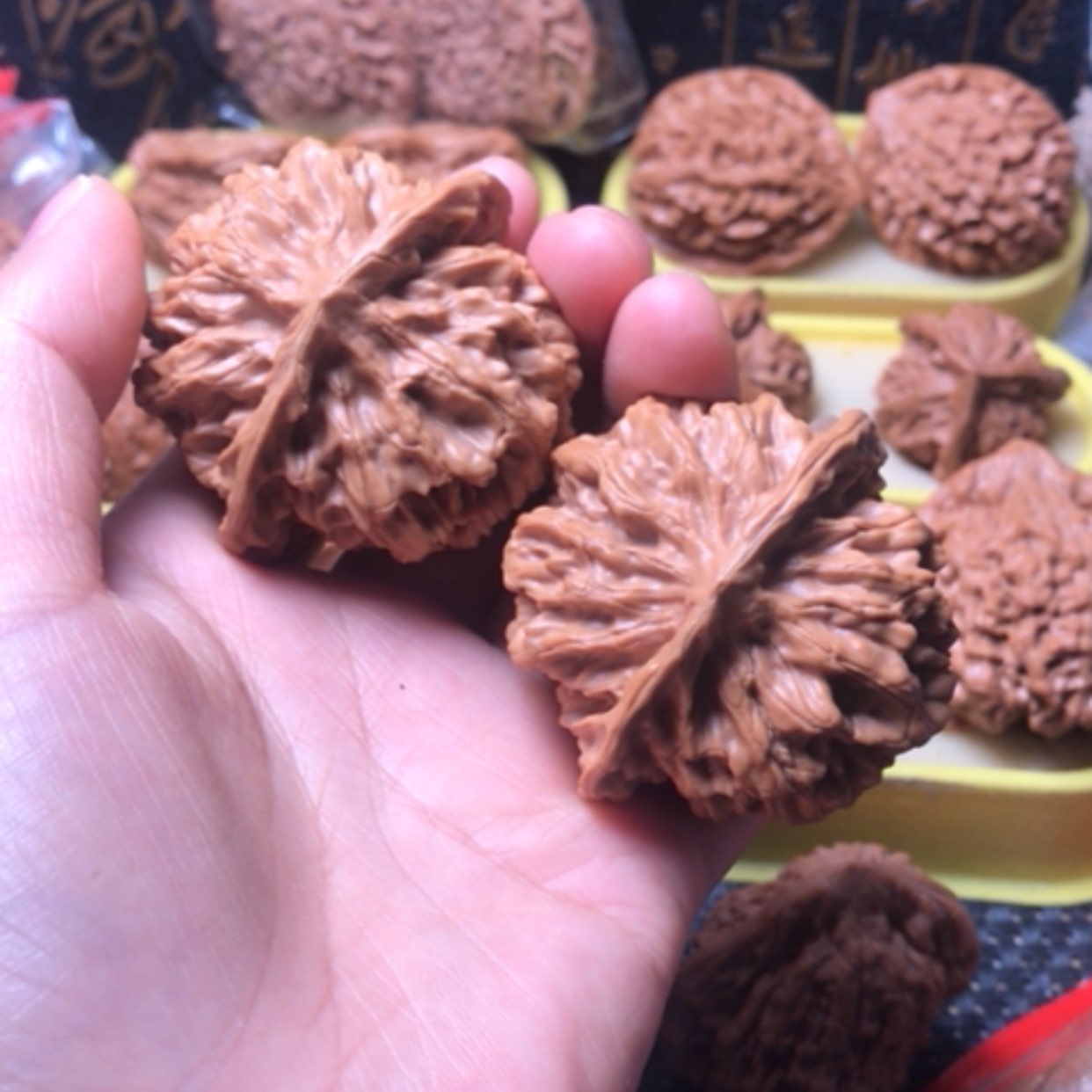 【闪购商品】背**山龙纹尺寸51