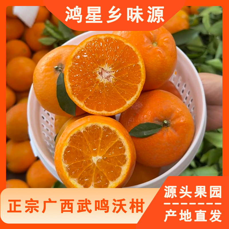 正宗广西武鸣沃柑新鲜采摘现摘现发源头果园直发皮薄肉厚爆汁爆甜