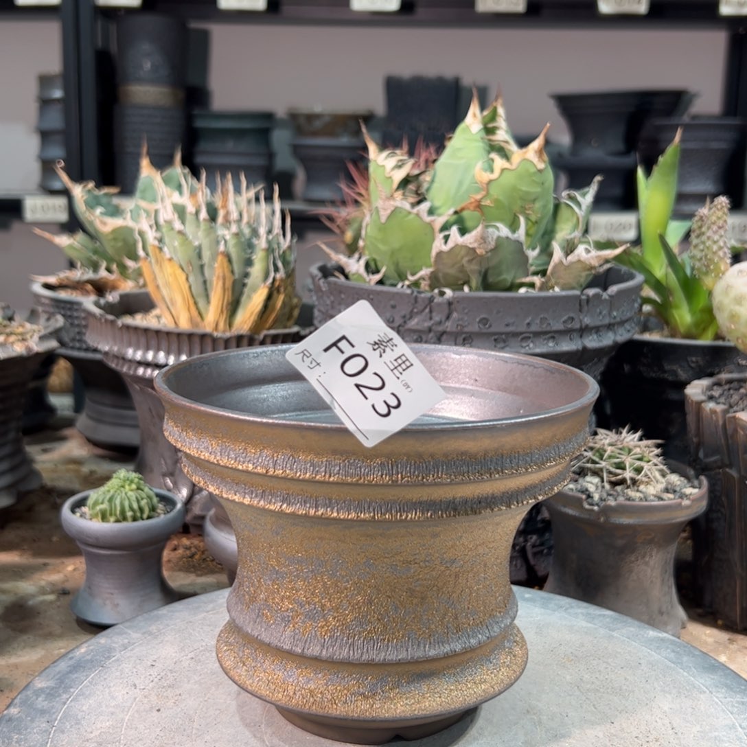 景德镇手工素里口15.5高12.5