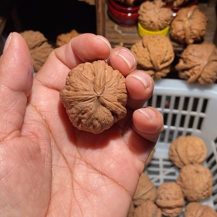 伊***袁核桃元宝三棱尺寸38全品