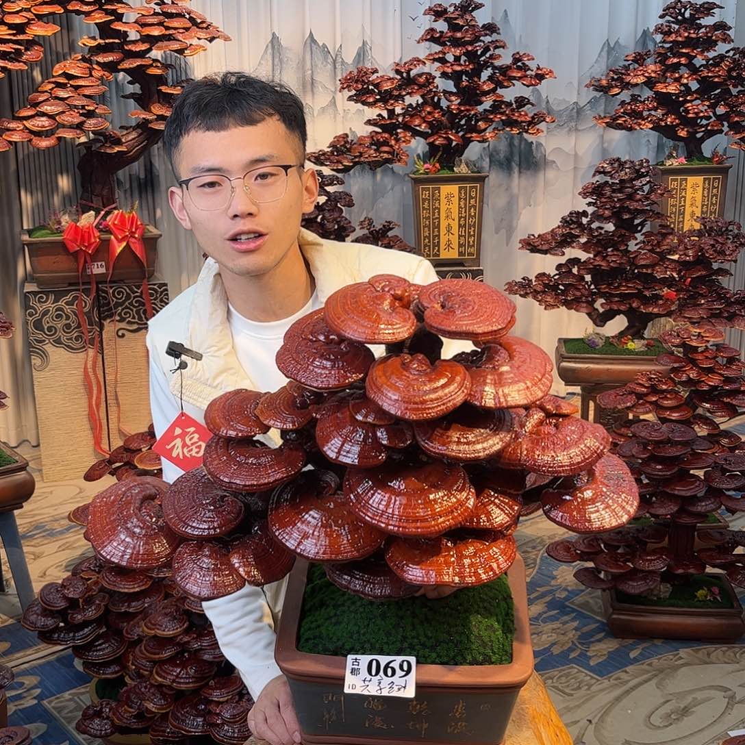 共***发无花朵88888888888