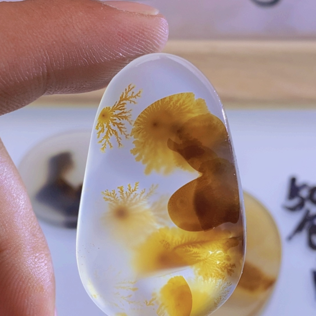 玛瑙/玉髓颈饰未镶嵌