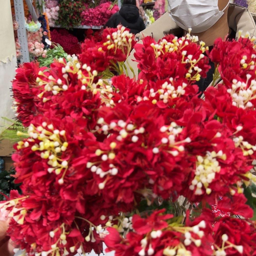 555号两头绣球红色10支