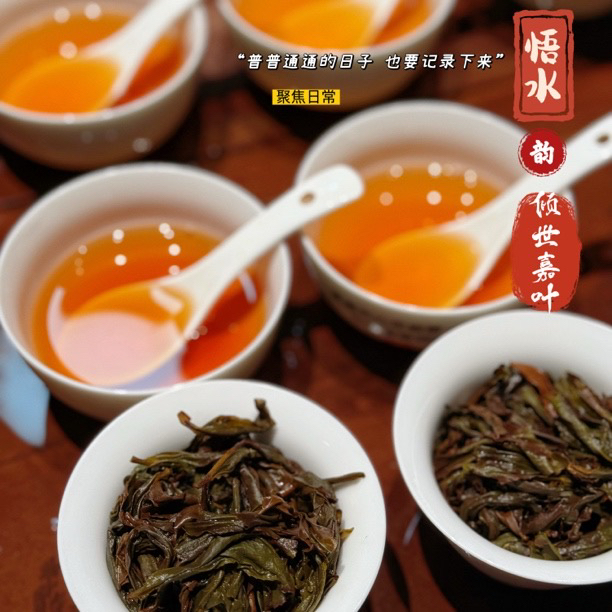 25年悟源涧水仙  天心茶宝 武夷岩茶 8.3一泡