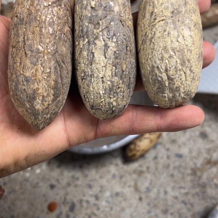 吊坠千眼菩提千眼菩提60