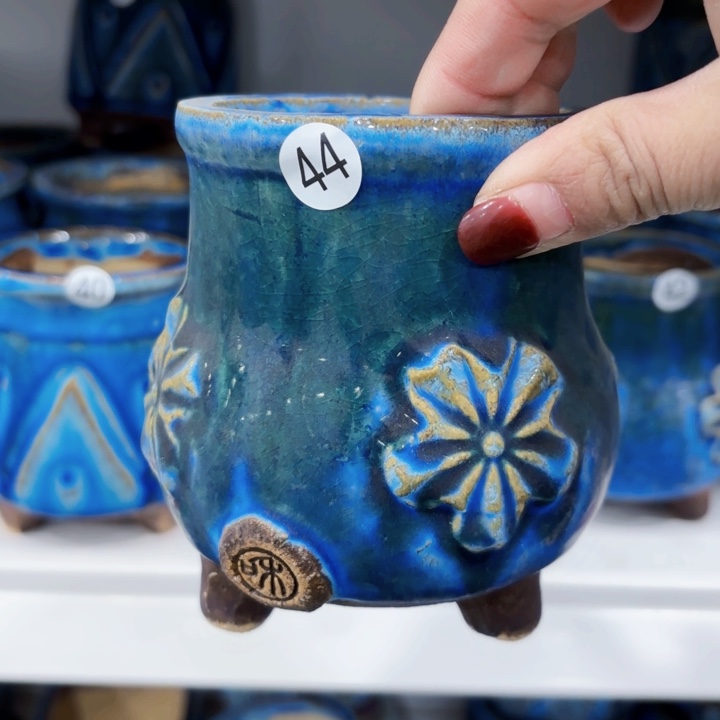 红陶内敛的人是不可能的吧