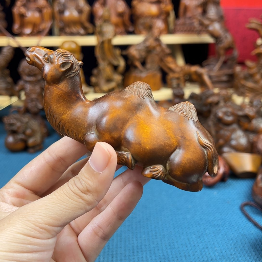 黄杨木小叶黄杨木