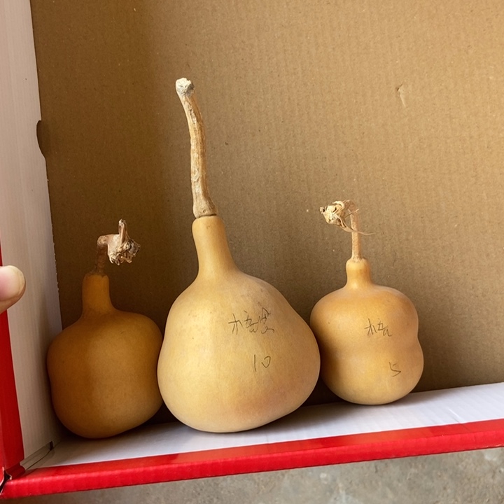 梧***n梧恩梧恩恭喜发财