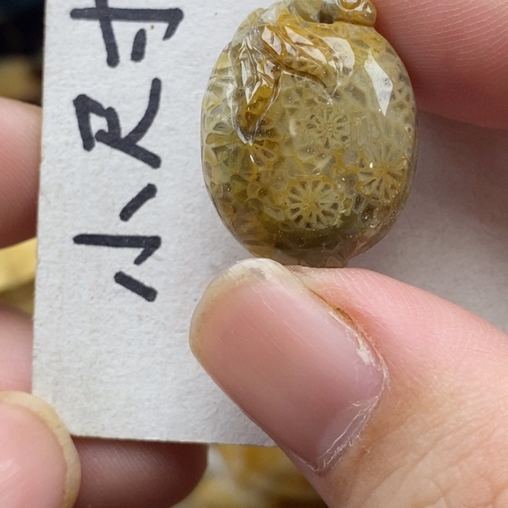 硅化珊瑚（珊瑚玉）未镶嵌颈饰