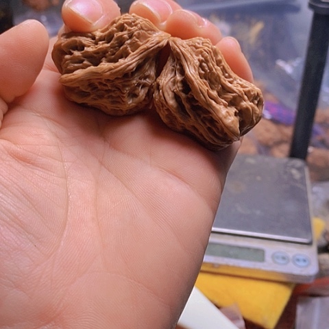 桃核吊坠麦穗小鸟