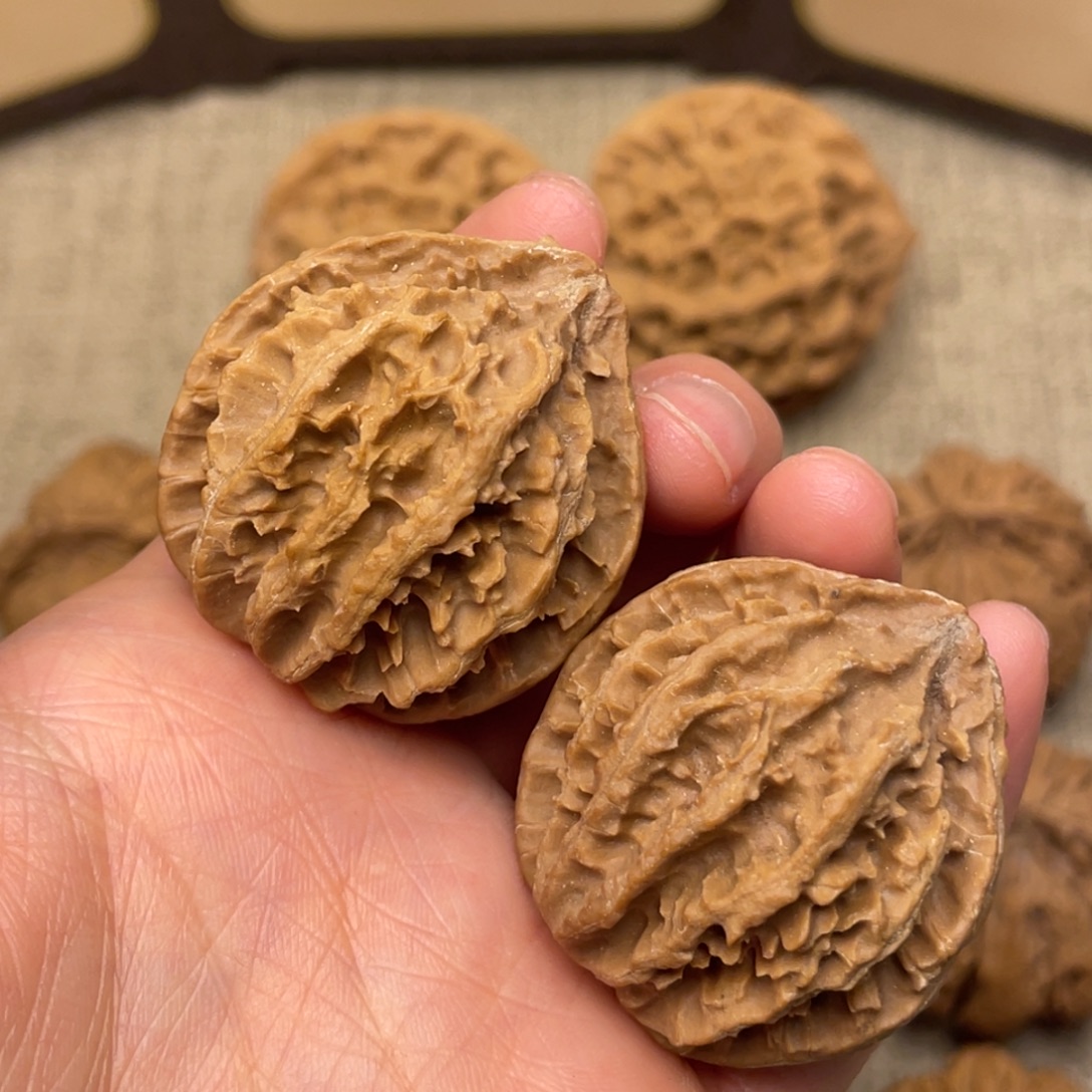 核桃秦岭野生核桃8号