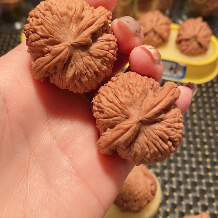 来***生核桃手串/手链39加白狮子