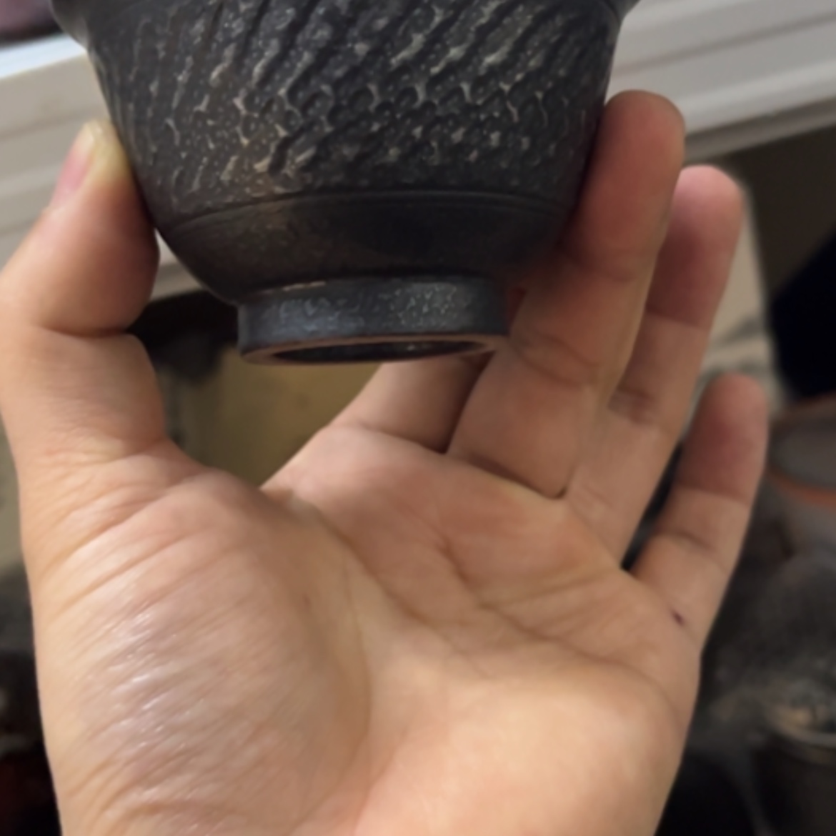 【闪购商品】555555555555508855