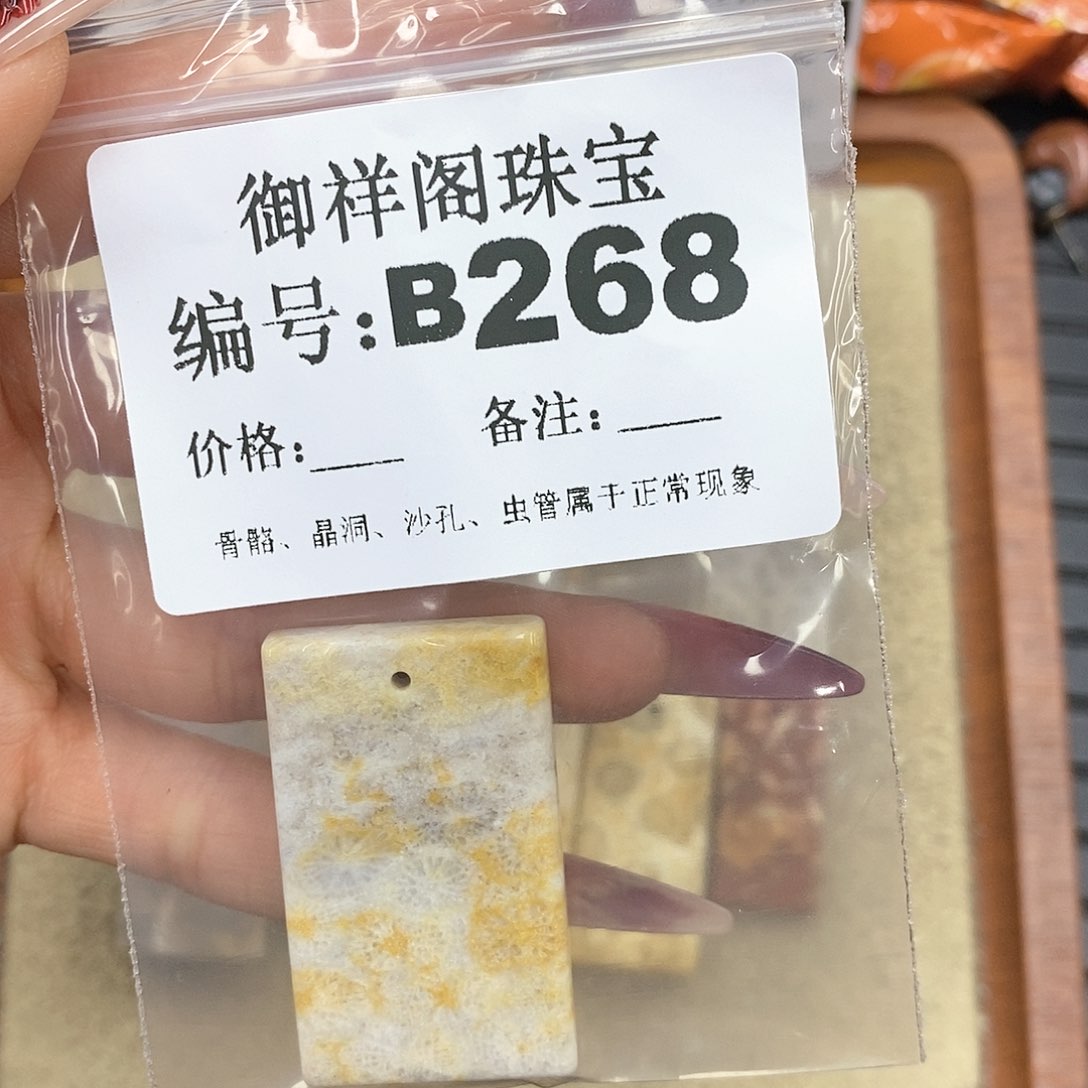硅化珊瑚（珊瑚玉）颈饰未镶嵌闪****?