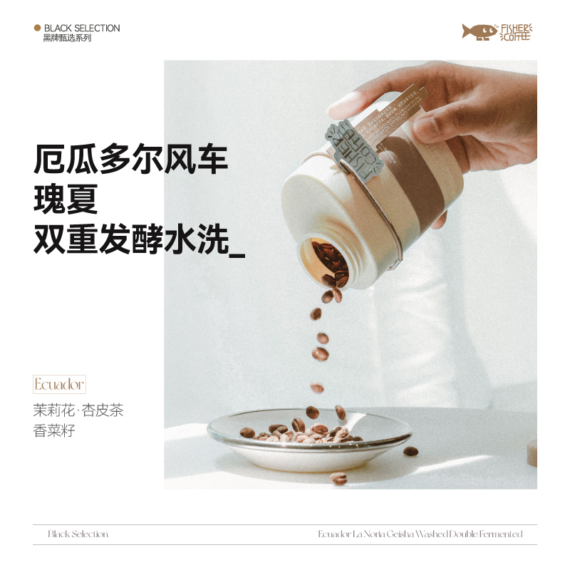 Fisher黑牌系列 厄瓜多尔风车瑰夏双重发酵水洗 100g 手冲咖啡豆 