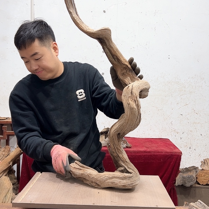 柏木就**语我们都是好孩子啊哈哈哈