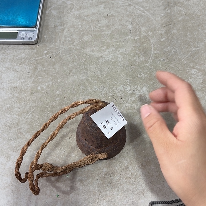 ****子瓷器工艺美术作品