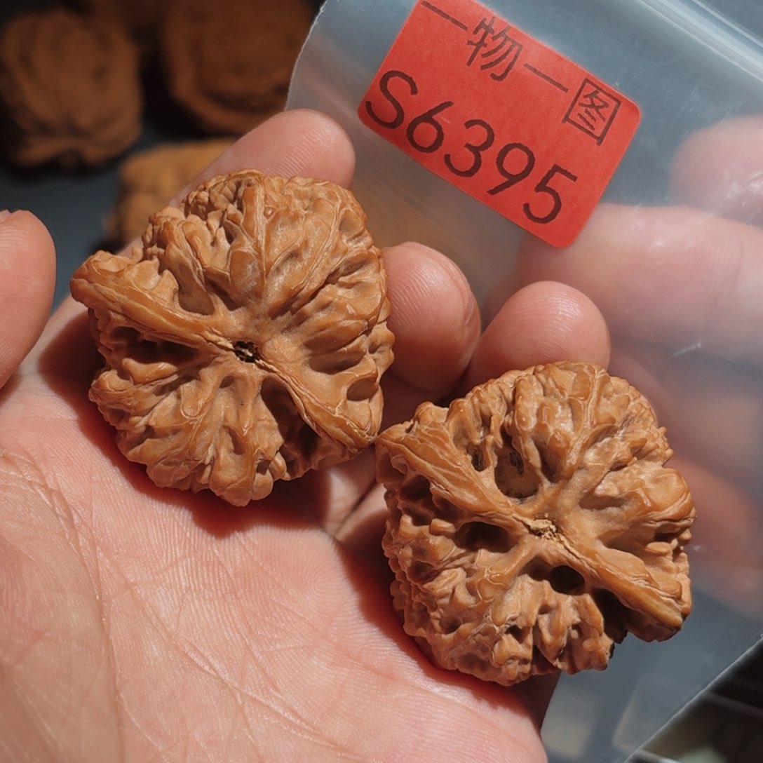 文玩核桃把件野牛