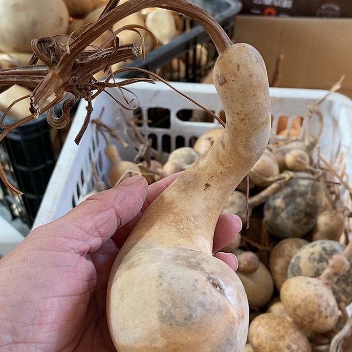 fui hh vg h ji i h g