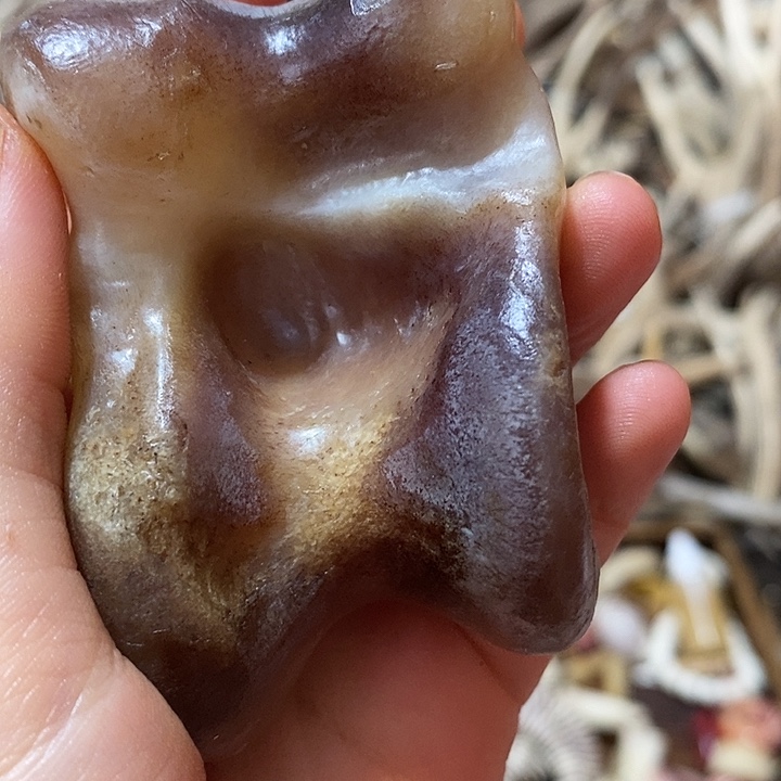石英石非金属鹿骨鹿骨