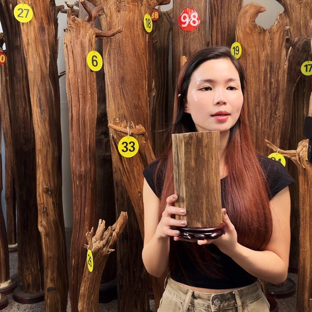 沉香碎屑沉香天然沉香原材料香料