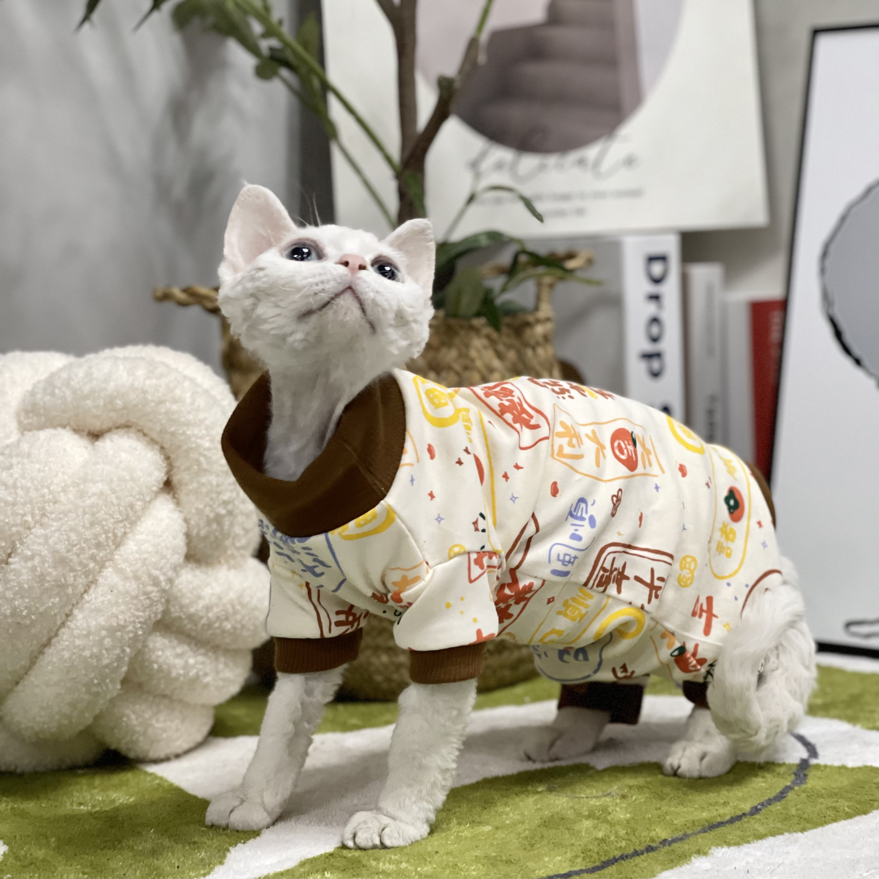 无毛猫衣服醇棉春夏四脚护肚柔软婴儿睡衣材质德文斯芬克斯猫衣服